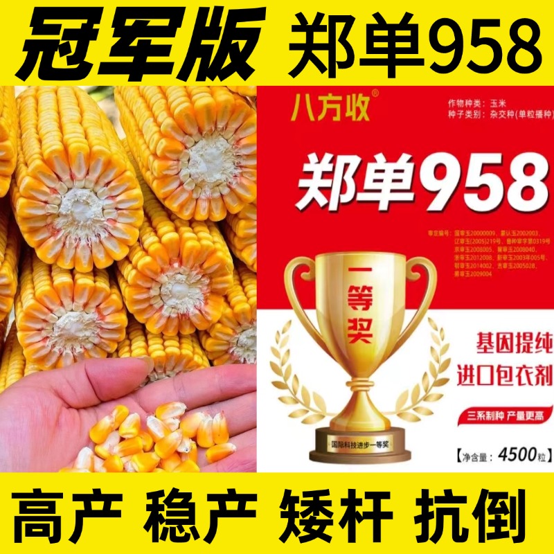 郑单958【4袋】高产稳产抗病耐旱耐涝耐高温国审正品玉米种子【厂家】