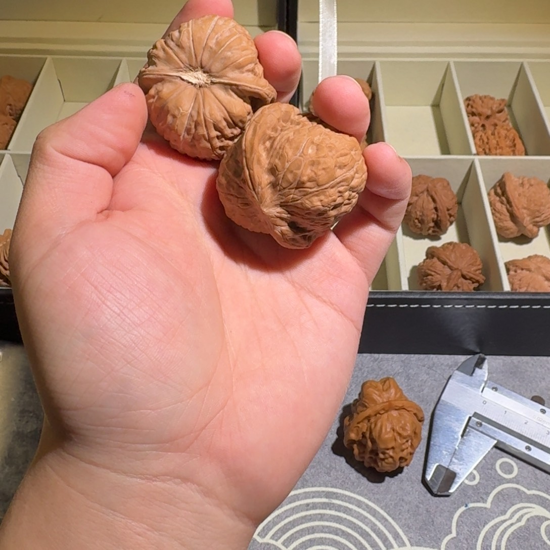 想***由大叶紫檀（黑酸枝木类）