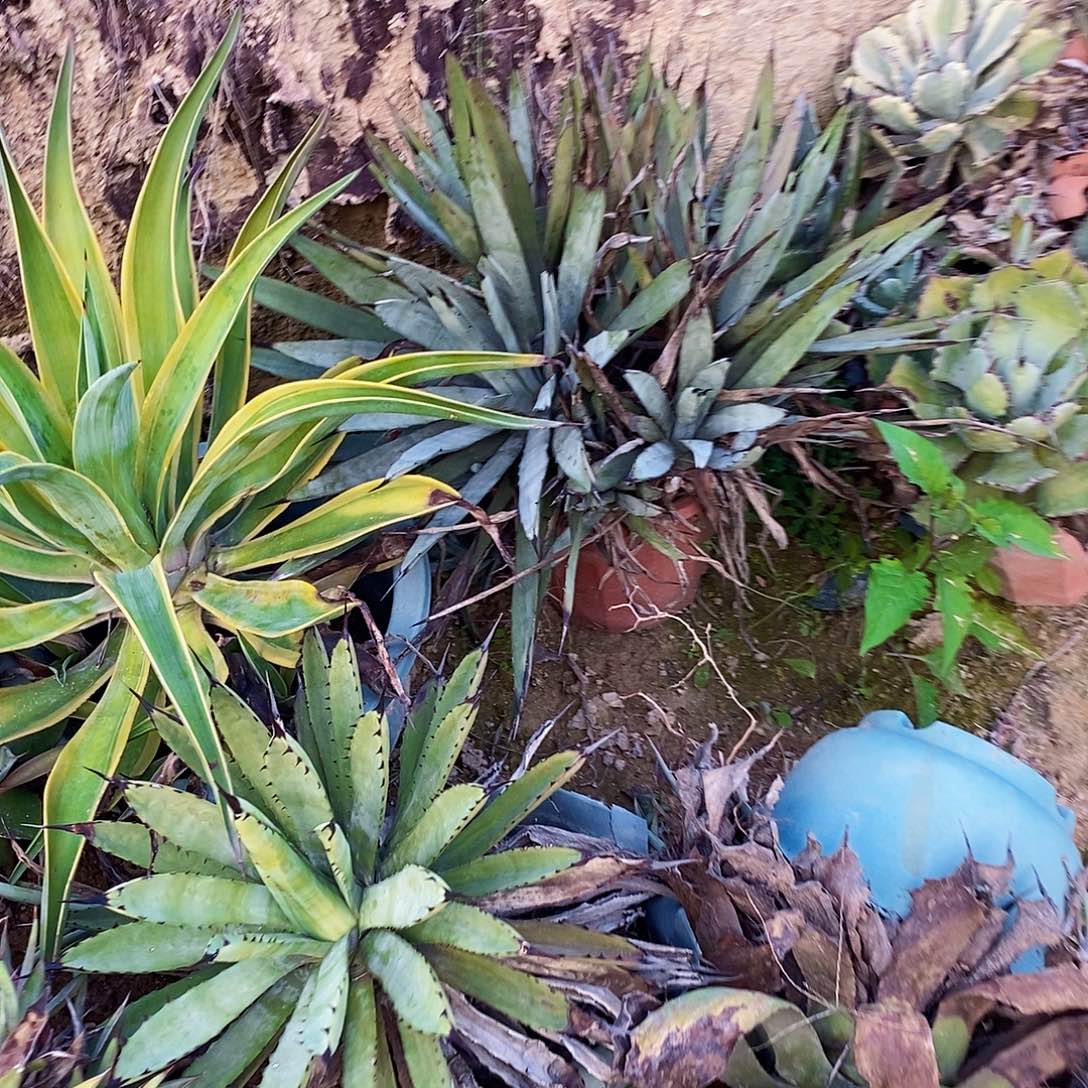 小**卜0000000000000000000