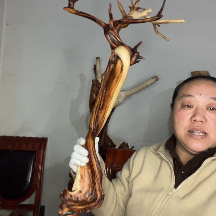 我***生柏木太行崖柏摆件上车