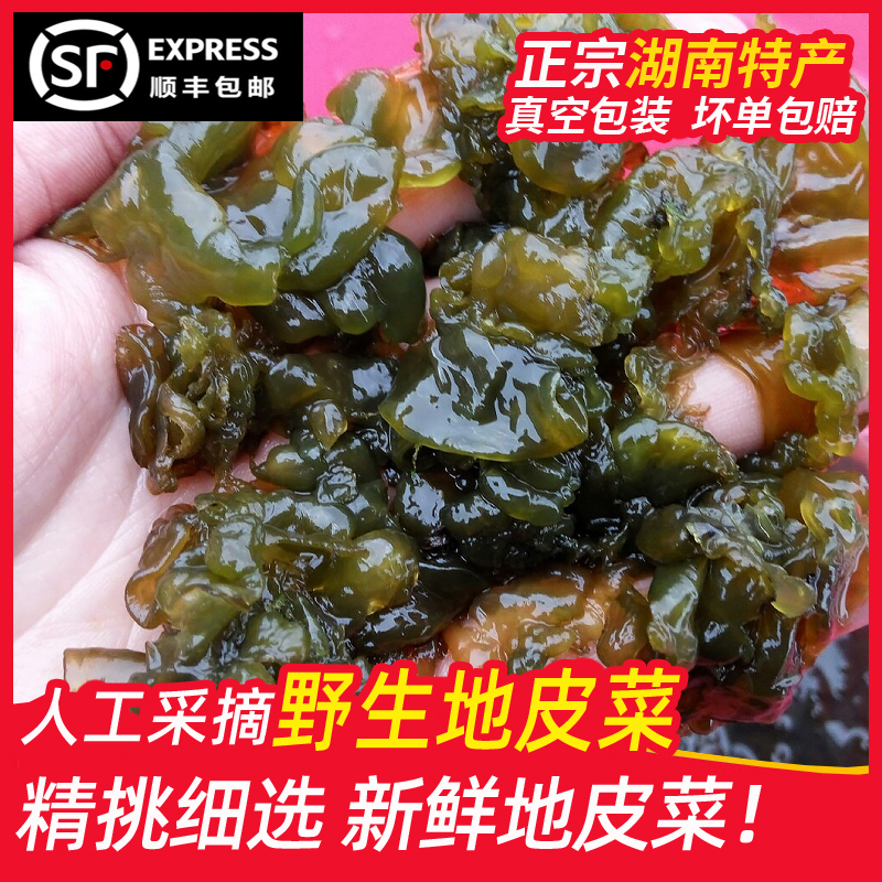 湖南野生新鲜地皮菜地木耳免洗地衣苔藓地软雷公菌非干货顺丰包邮