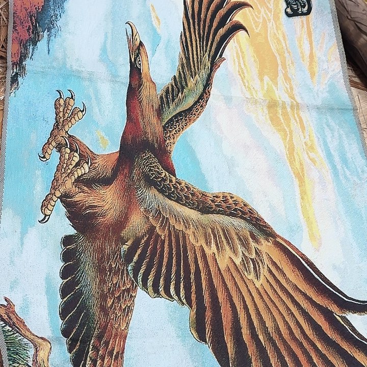 织绣哈哈哈哈哈哈哈哈哈哈哈