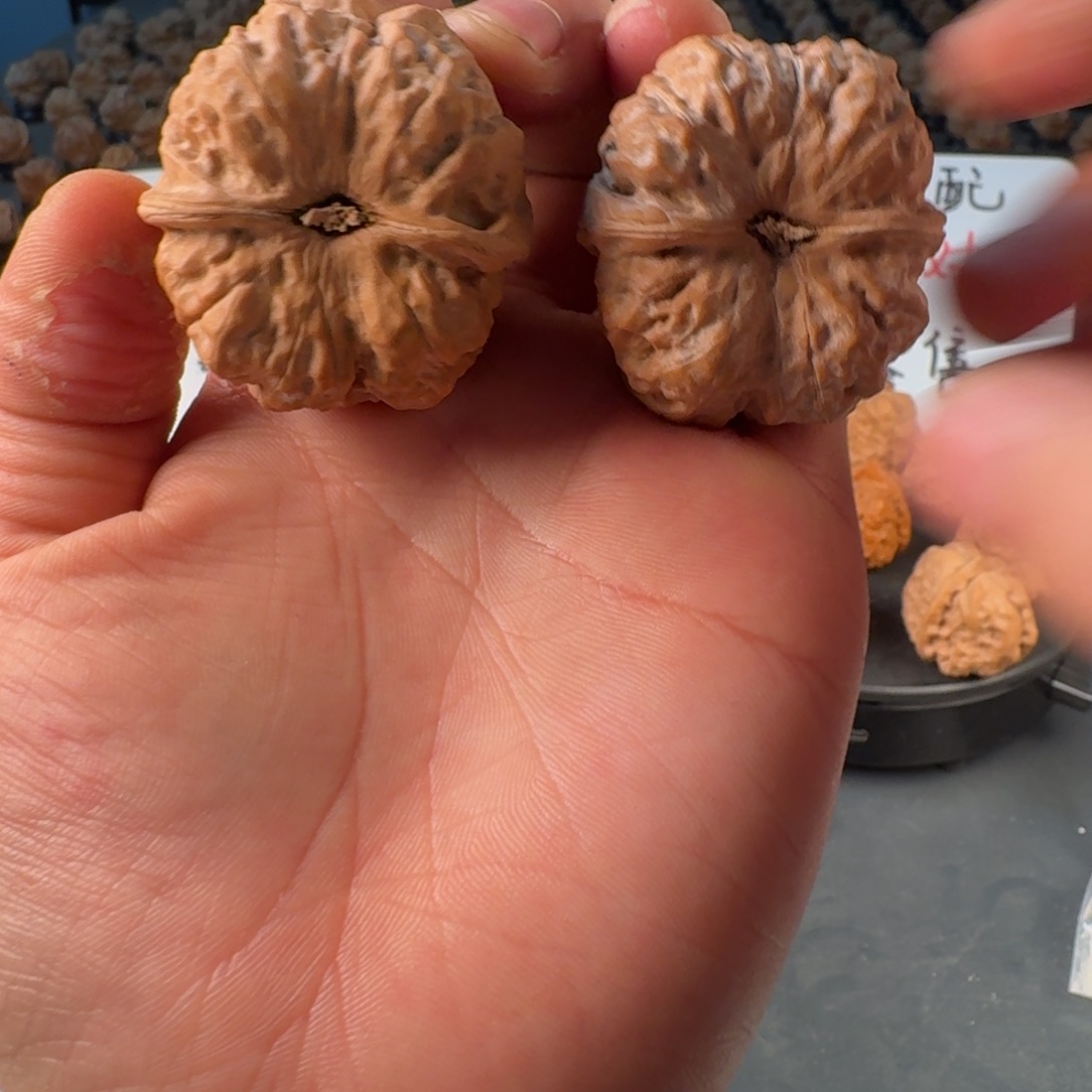 小***黑文玩核桃吊坠蛤蟆的眼睛是真的好看啊我