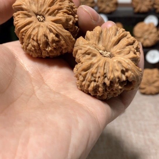 文玩核桃把件今天