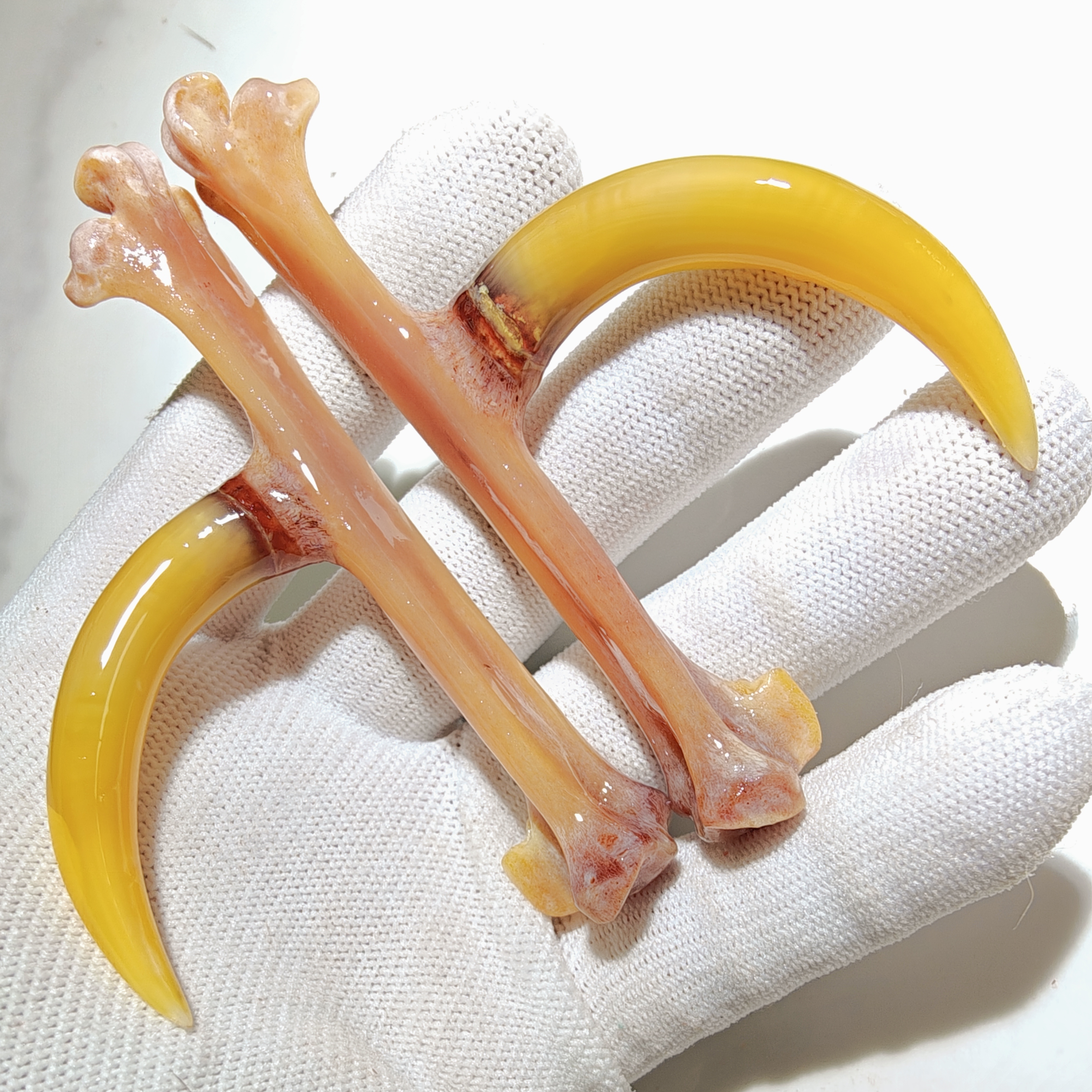 沉醉骨艺鸡爪骨黄色大湾钩一对