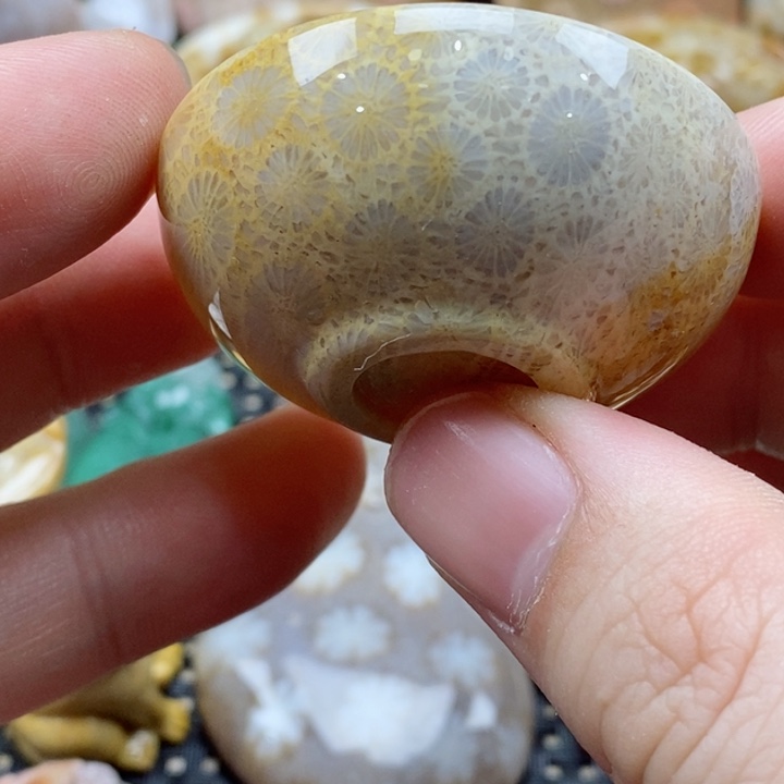 硅化珊瑚（珊瑚玉）颈饰未镶嵌