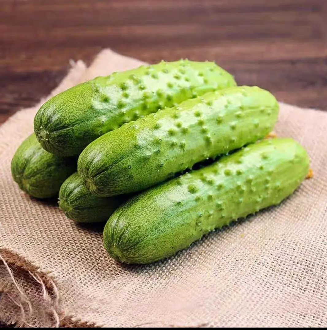自家菜地里的菜，每天现摘。