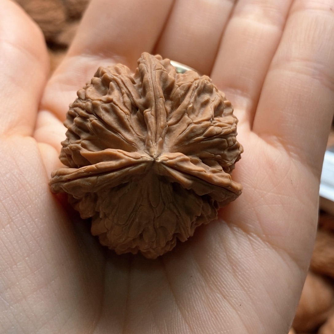 ****林核桃定制商品不退不换