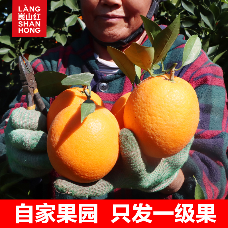 AA 精品一级果正宗崀山红脐橙新鲜现摘产地直发整箱10斤