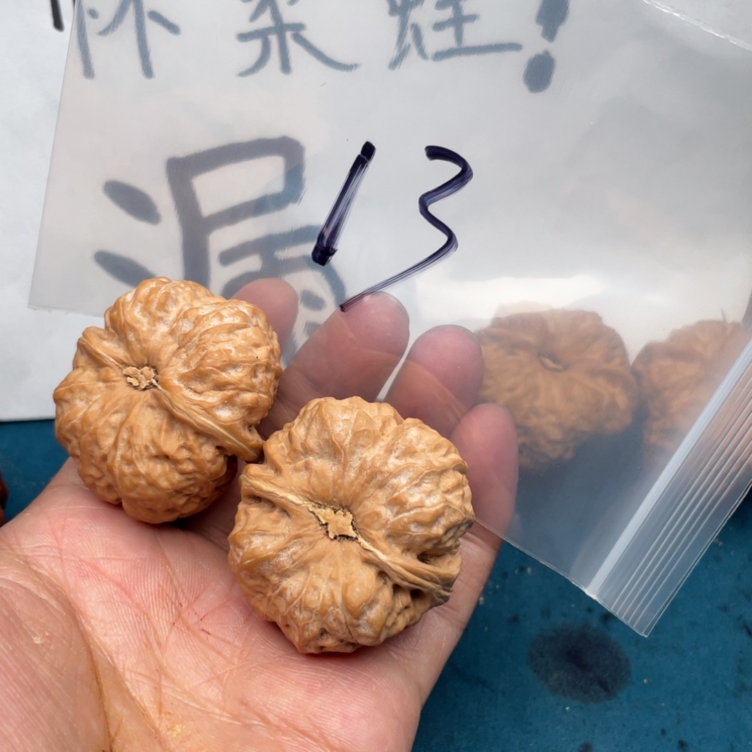 W94674997594497947479