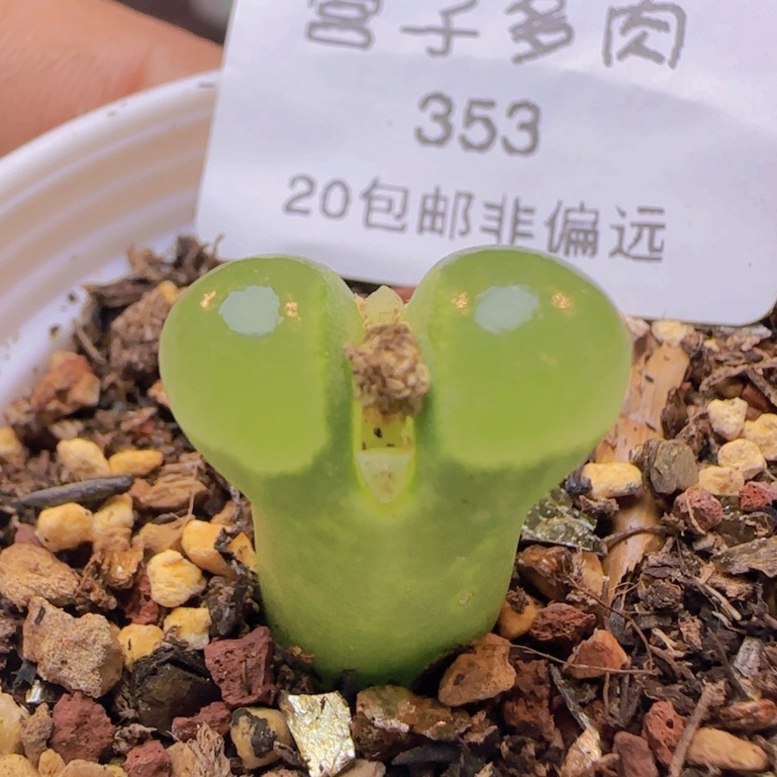 极窗400。                   