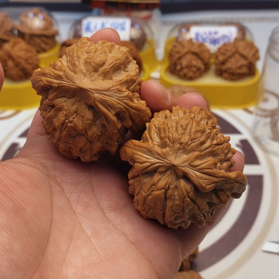 文玩核桃吊坠龙鼎51尺全品