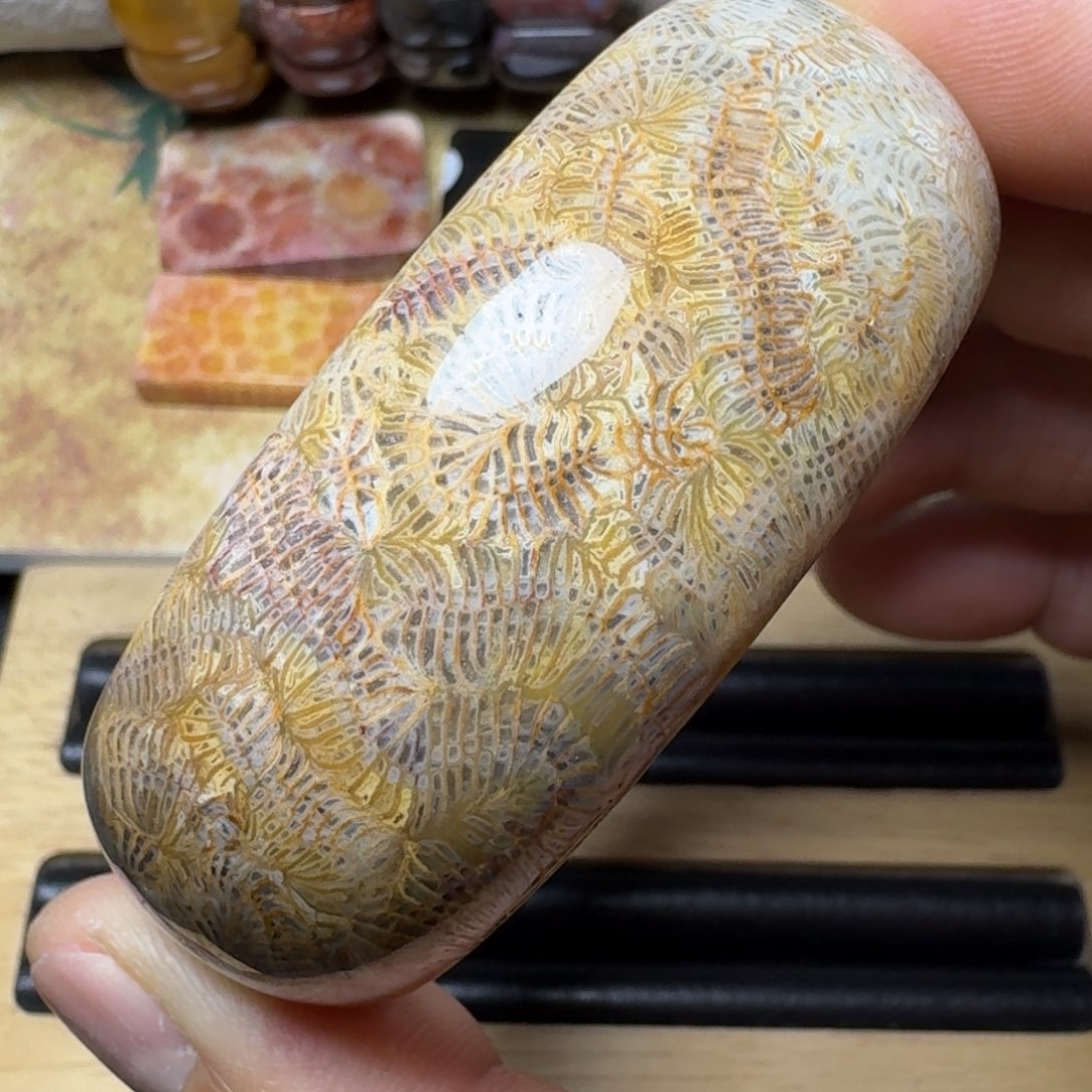 硅化玉未镶嵌纯天然有机玉石保真色57圈口