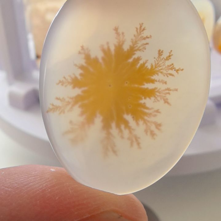 非金属时尚饰品18