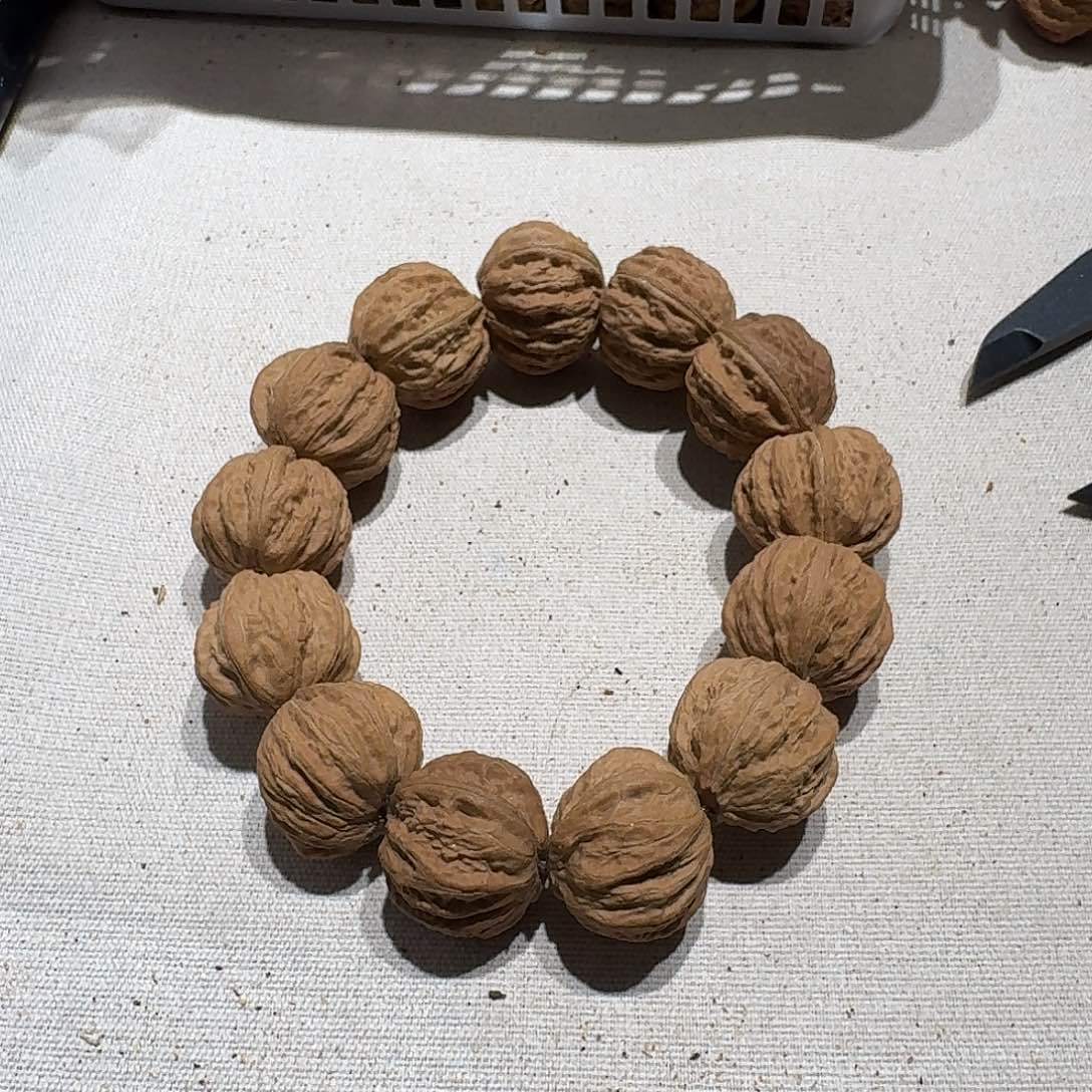 核桃手串/手链24号边27肚25高23