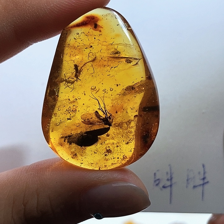 定制琥珀琥珀虫珀吊坠