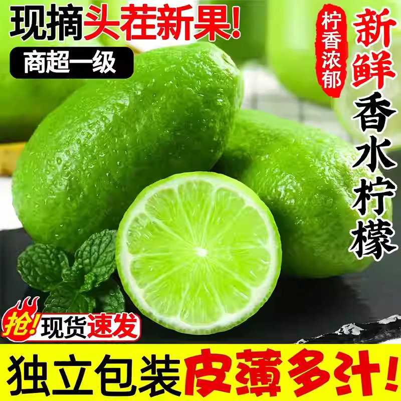F新鲜无籽香水柠檬奶茶店专用夏季子弹头柠檬茶四季青柠檬新鲜果