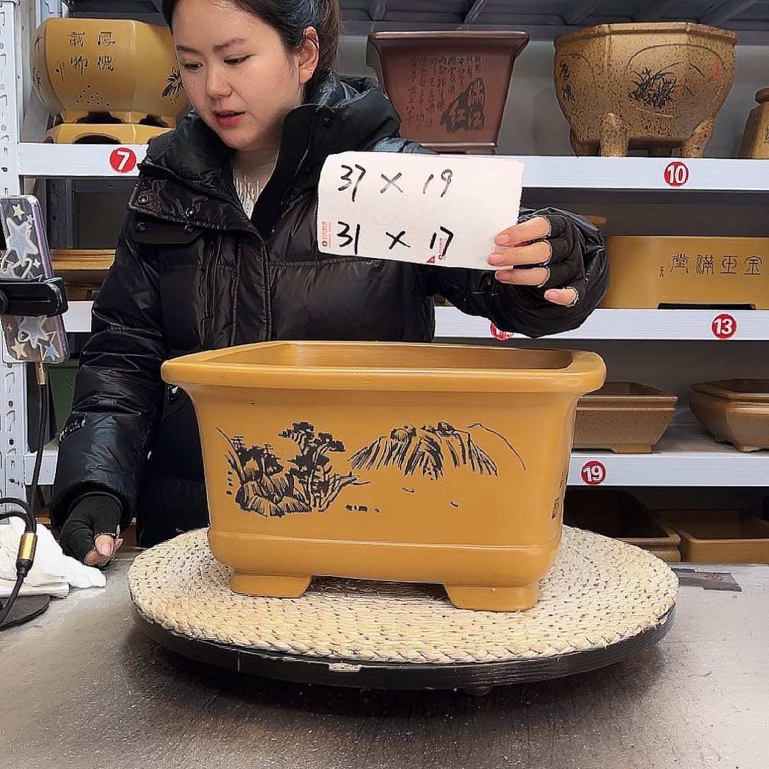 紫砂花盆紫砂花盆