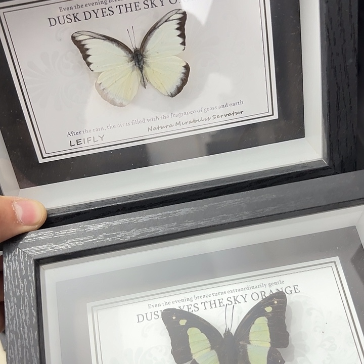 七寸新背景盲盒随机发三个