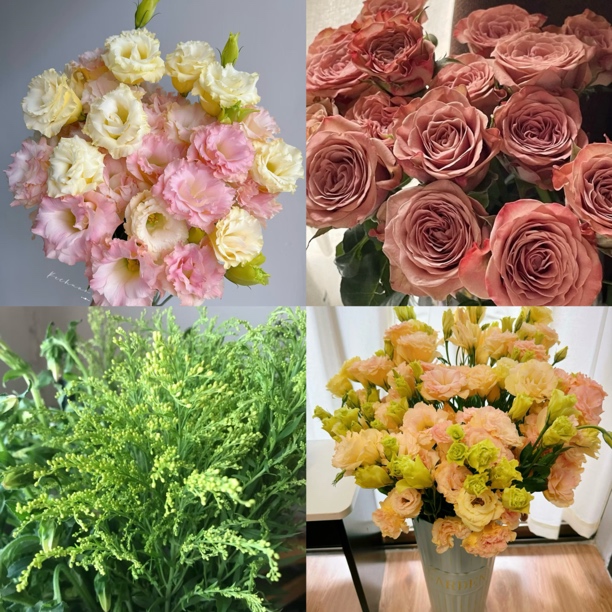 云影优选【卡布奇诺5支香槟桔梗3支登高草5支】鲜花套餐组合云南鲜花批发次日达