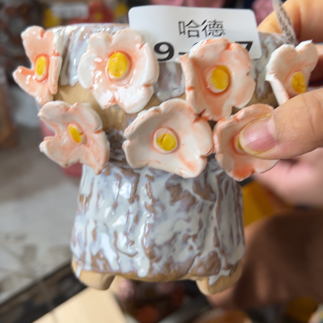 瑕疵987 满20米飞秒退拉黑多肉拉黑