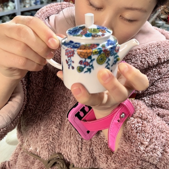 瓷片景德镇陶瓷茶壶。