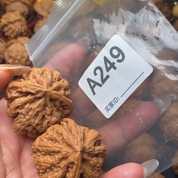 核桃把件粗筋42尺249号