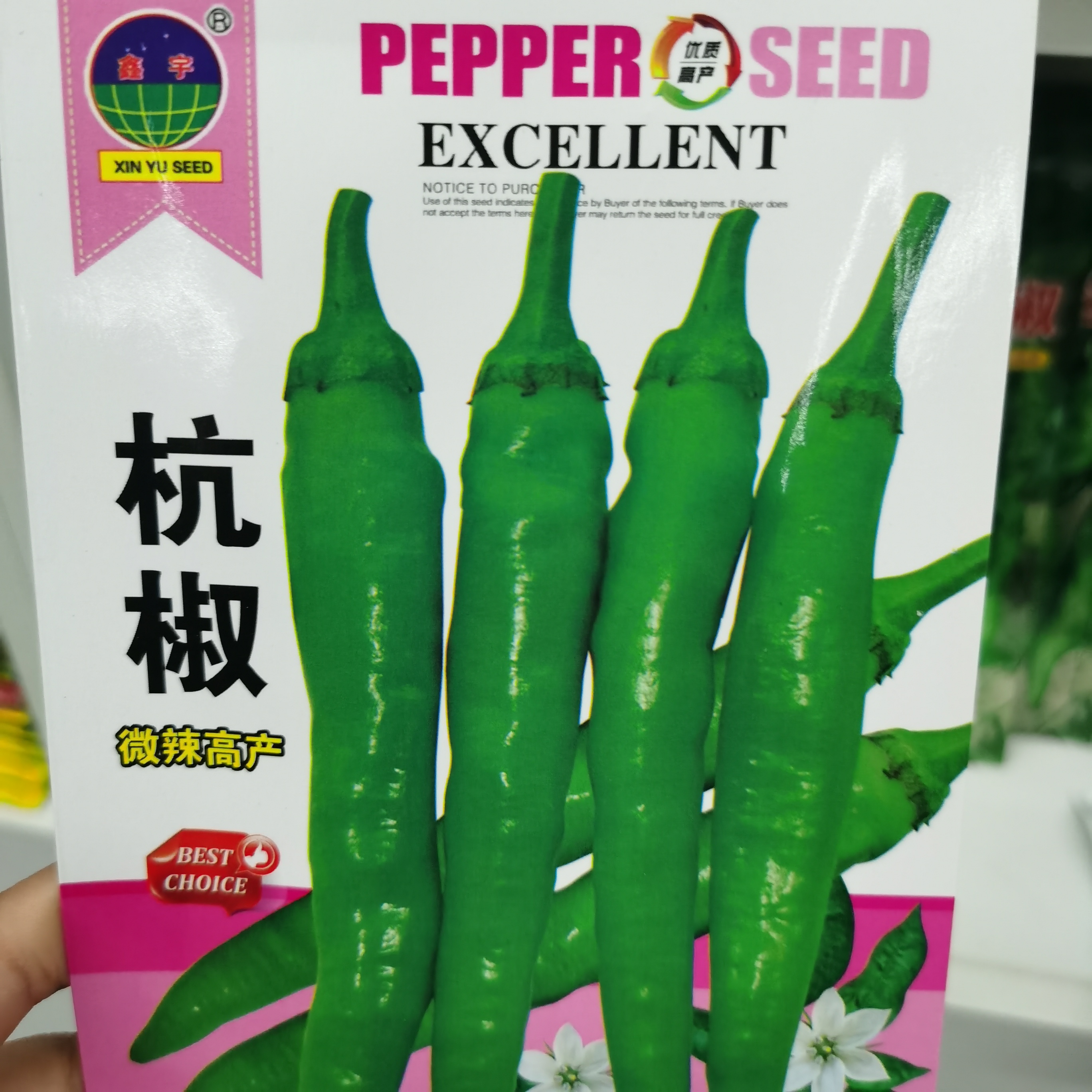 精选微辣杭椒种子