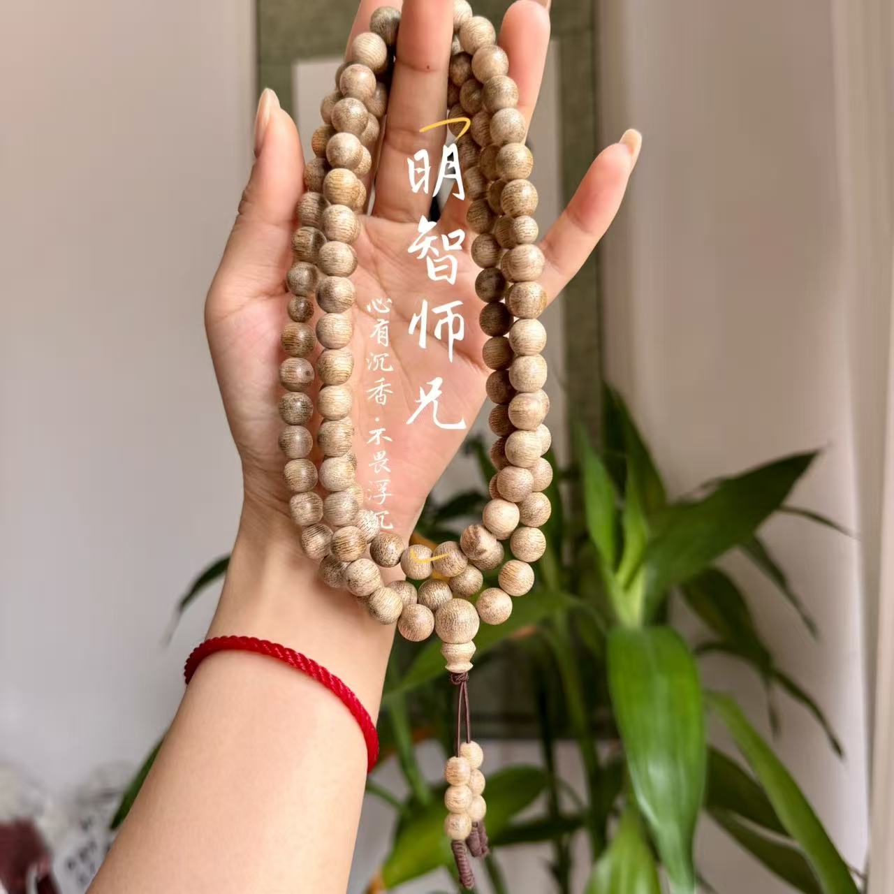 沉香【明智师兄】天然沉香柬埔寨9mm圆珠多圈