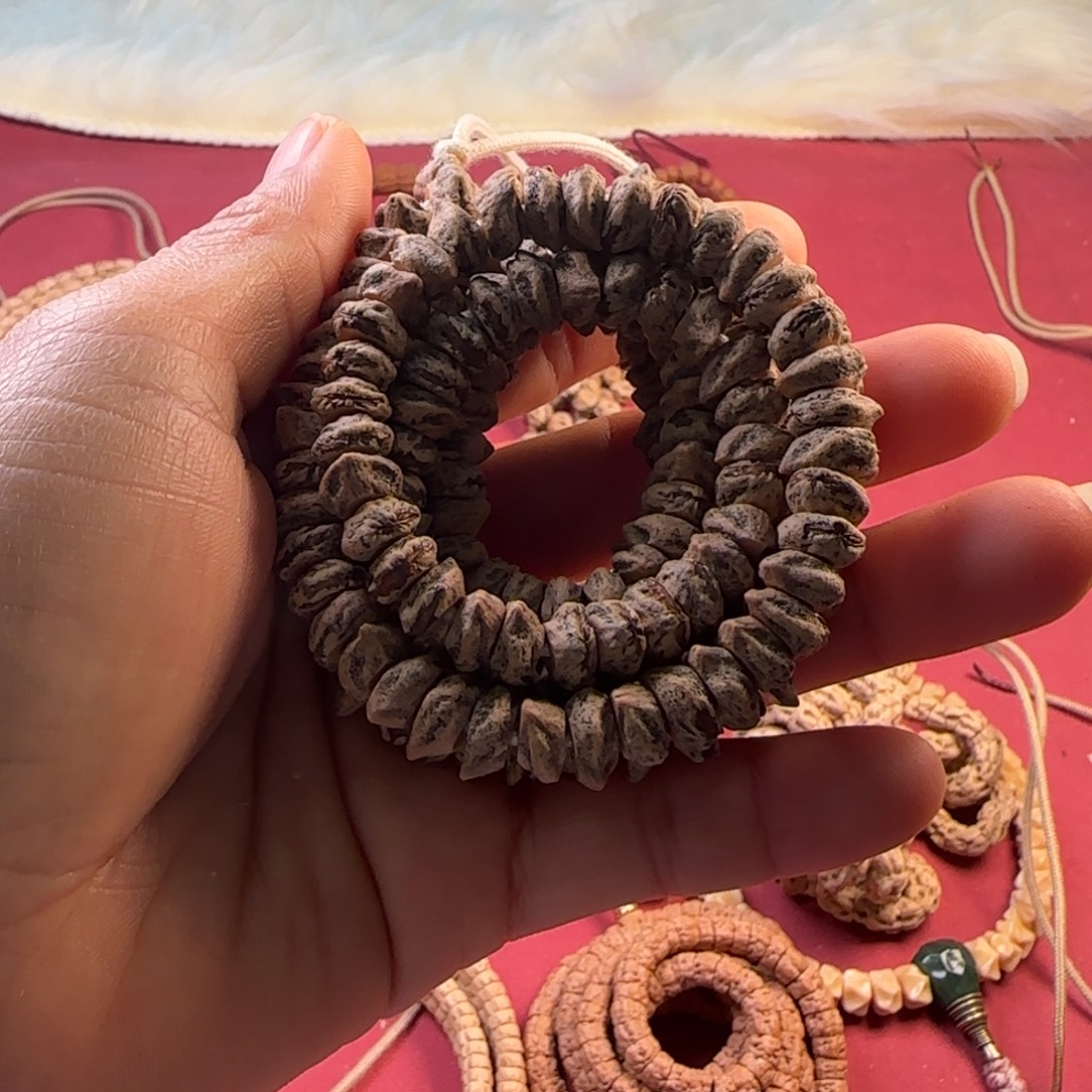 把件柏香籽/百香籽红芽大肠