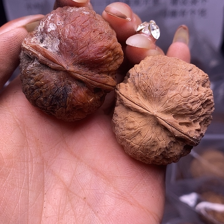 核桃云南野生铁核桃194号38mm