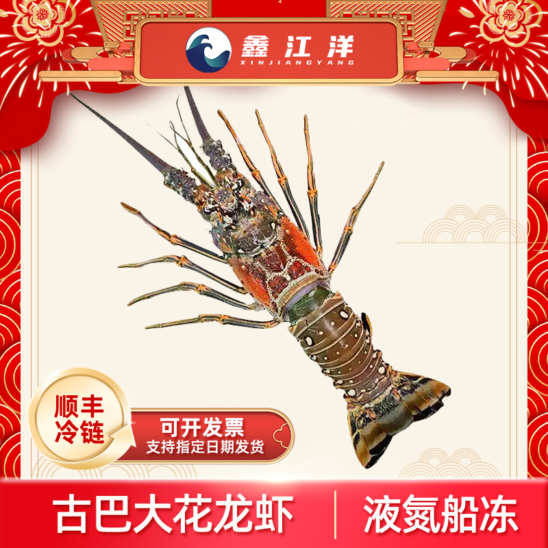 1古巴大花龙虾急冻锁鲜原汁原味新鲜美味400-500g 楼下
