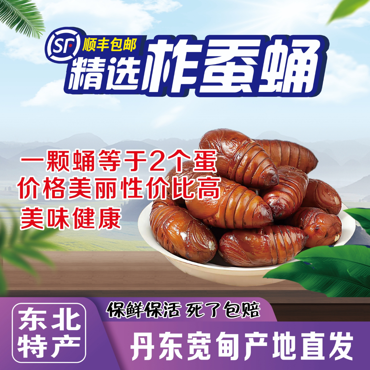 东北新鲜柞蚕蛹（黄蛹）产地直发补充高蛋白顺丰包邮