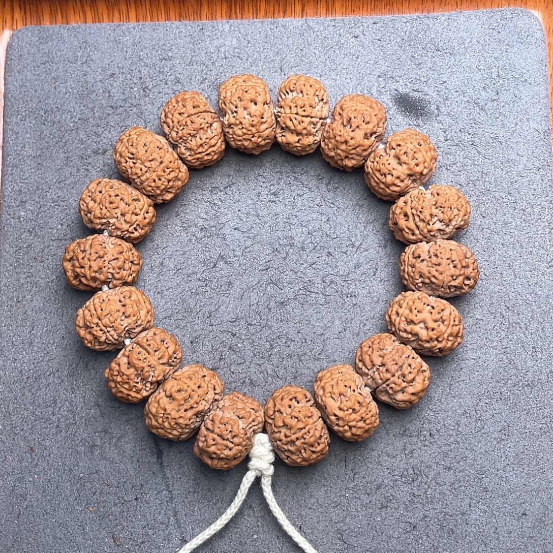 12号金刚菩提蜂王夹板20