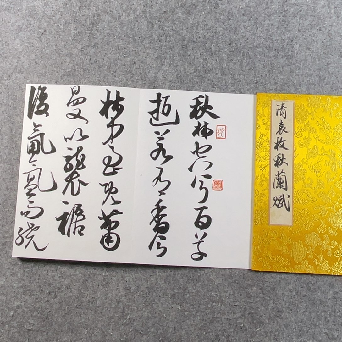 书法中书协会员作品