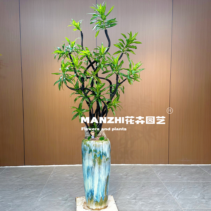 （一物一拍）金心百合竹客厅绿植盆栽室内轻奢造型大型落地式旺宅