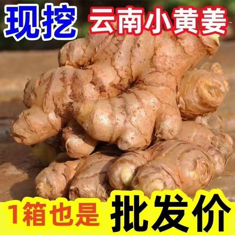正宗云南小黄姜新鲜现挖山地老姜月子姜增香去腥调料