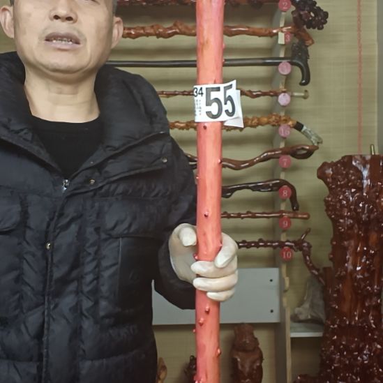 w***蜂香榧木贵州檬子木   铁马鞭   根艺  半成品