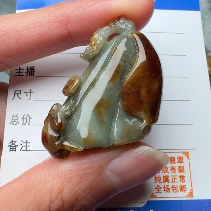 翡翠未镶嵌颈饰呱呱来财