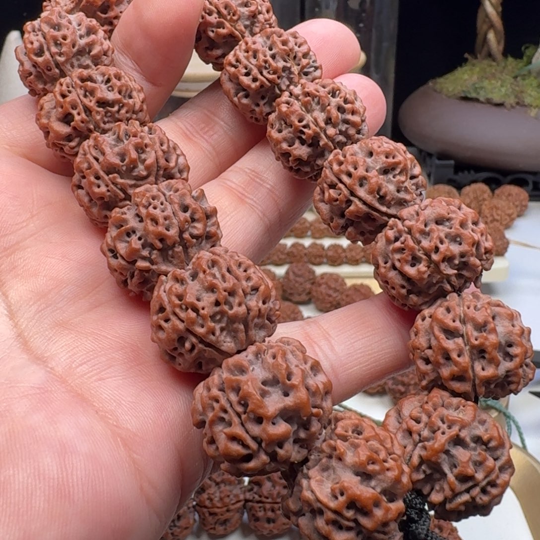 手串金刚菩提铁籽蜂王籽