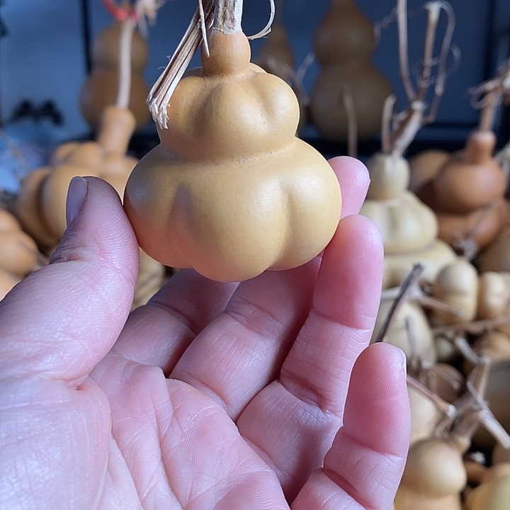 爱****l葫芦的颜色是蓝色的