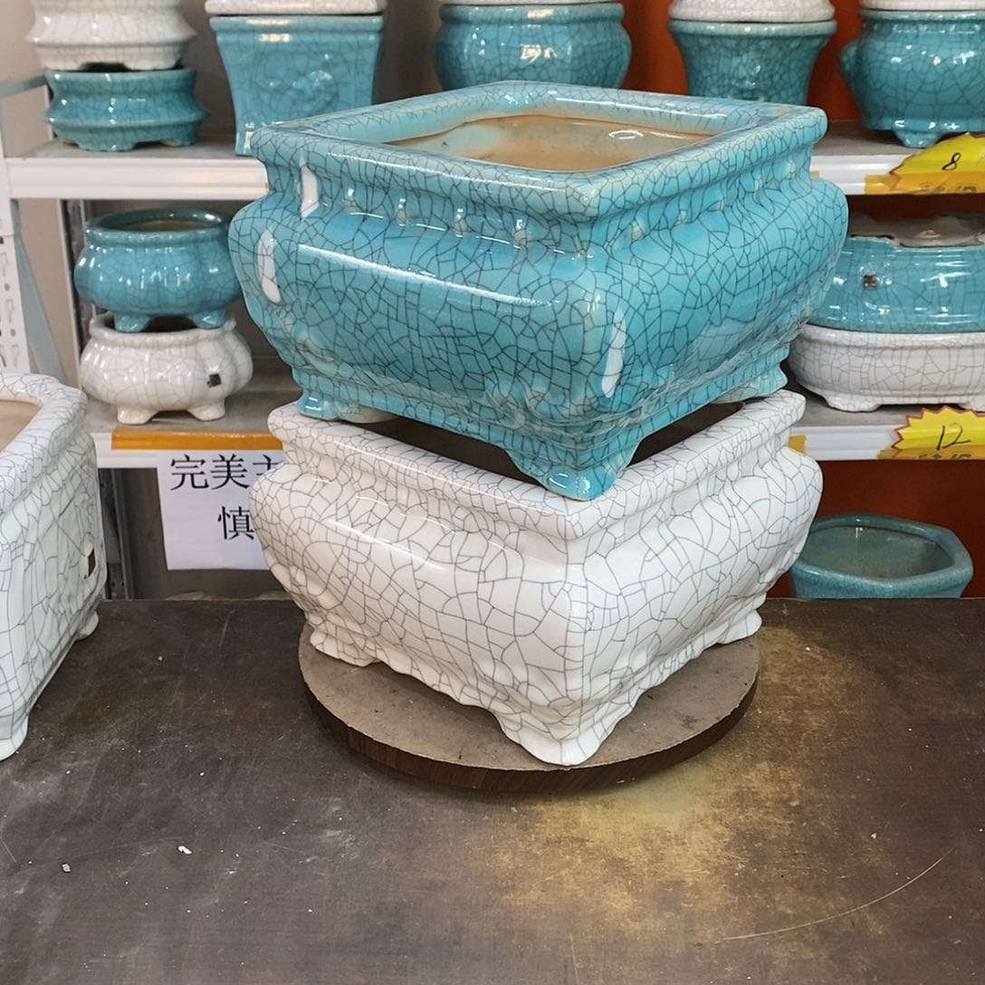 早*秋花盆里的小猫咪