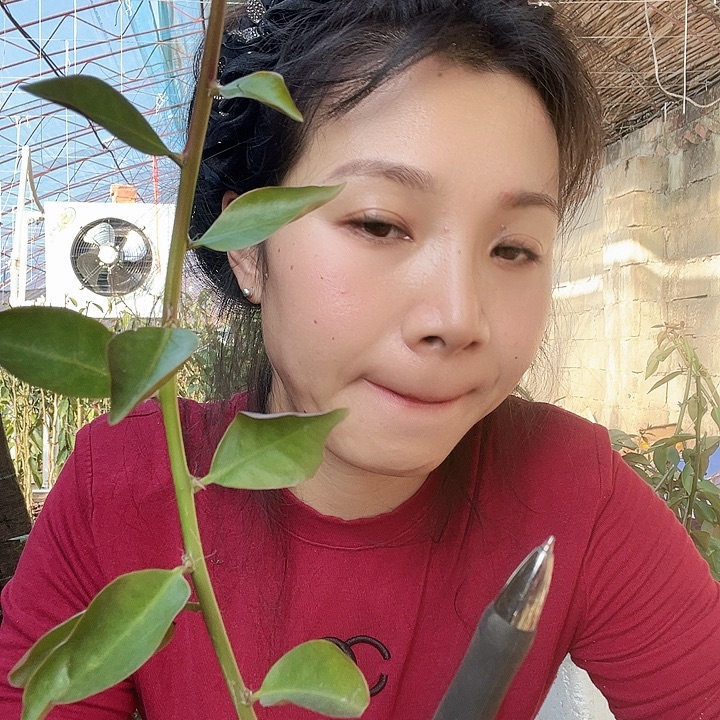 じ****4663云倾一颗三点乔恩一颗三点蝴蝶日落