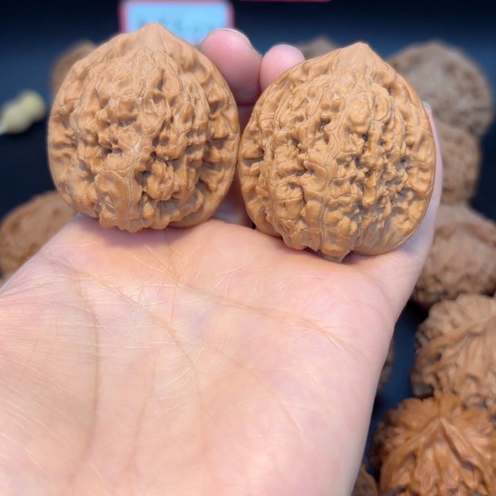 42官帽全品无修全品无修全品