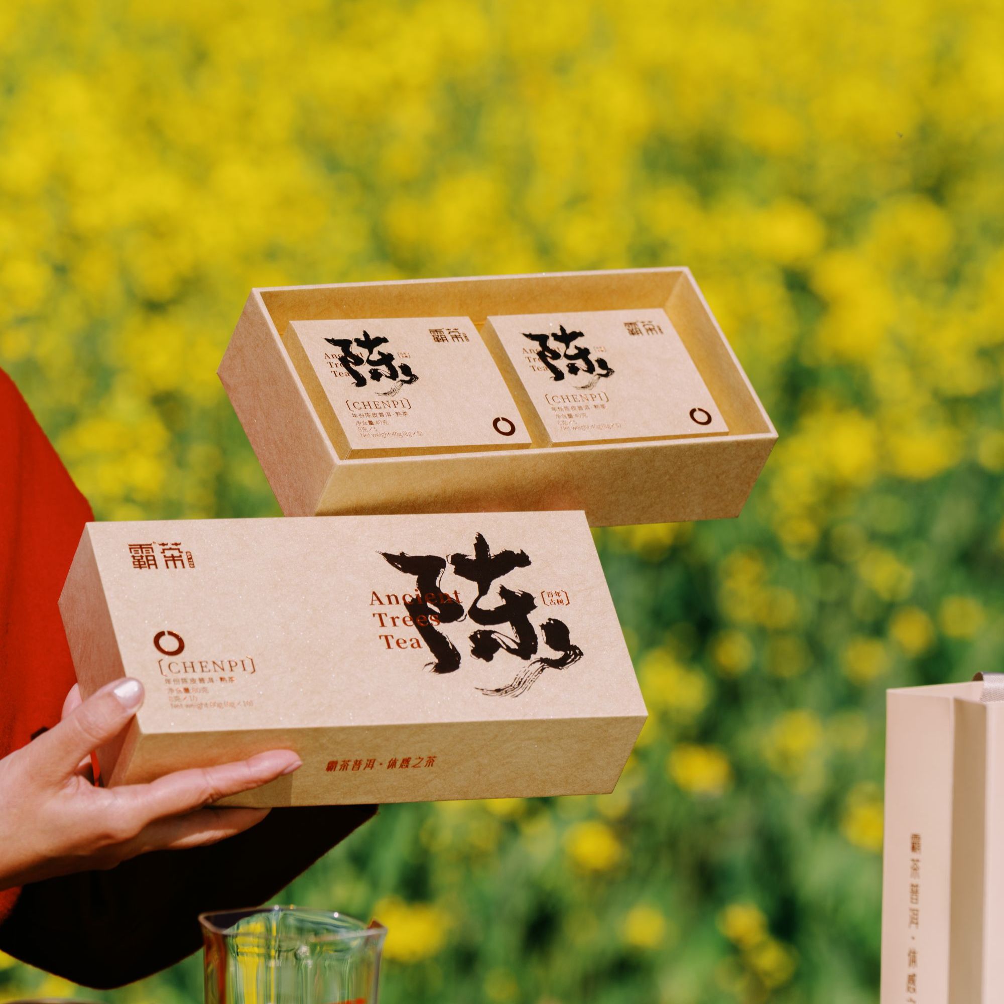 霸茶 陈皮古树普洱熟茶 80g/盒 2025年