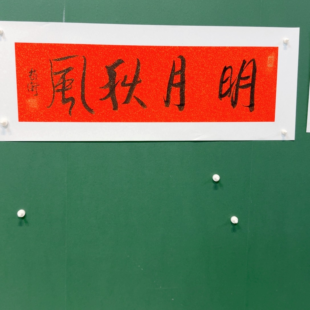 国画赵老师IDID减肥