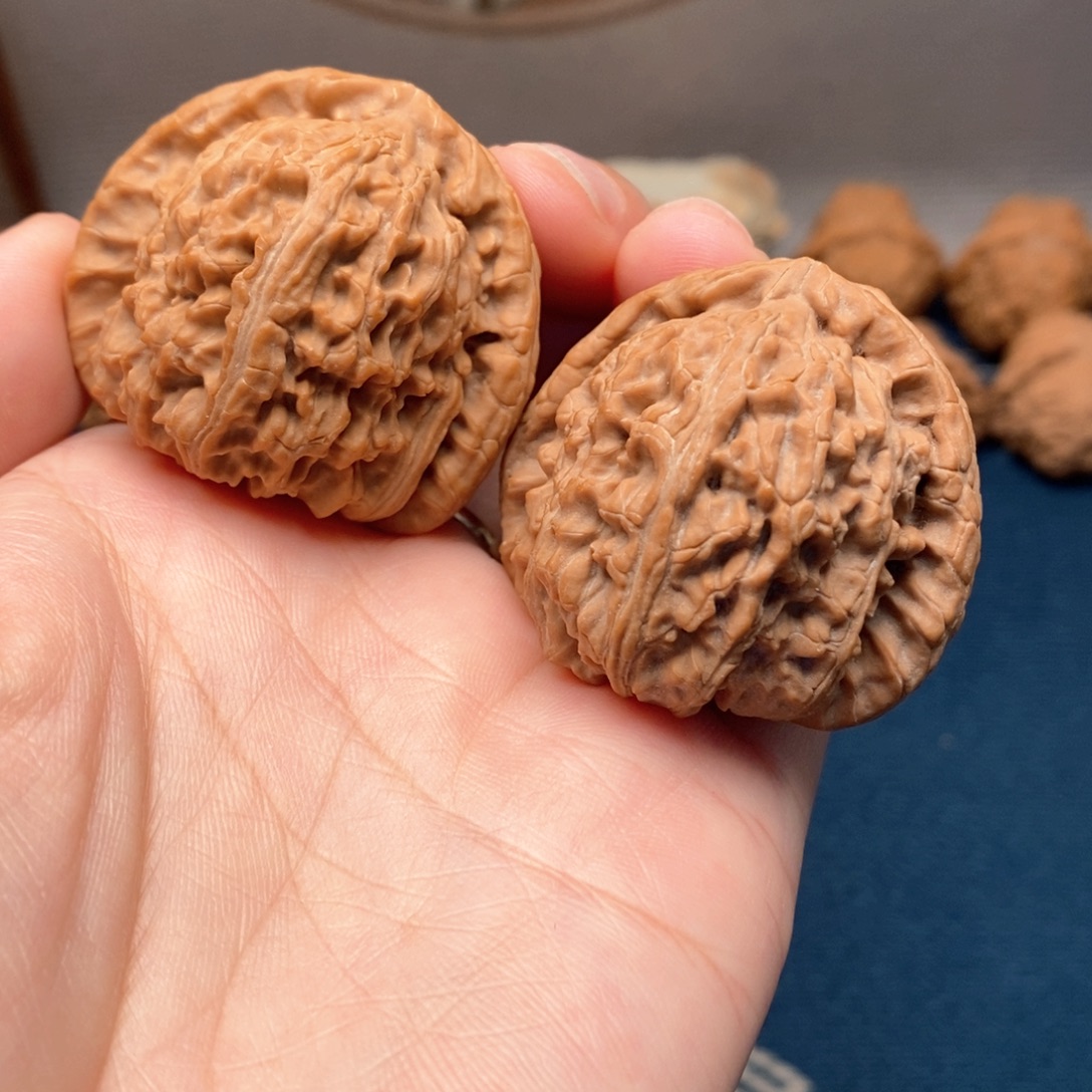 文玩核桃把件8白狮子41.5