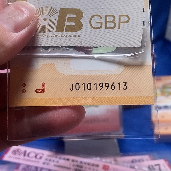 塑料010199613…………