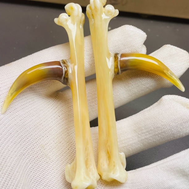 鑫源骨艺鸡爪骨手把件包浆骨一对