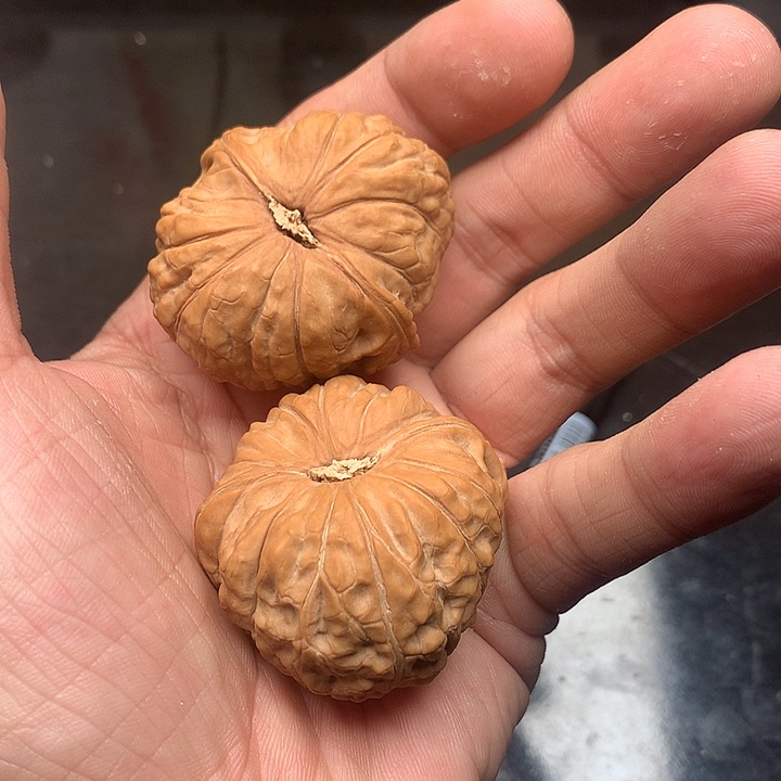 偏***H核桃手串/手链123